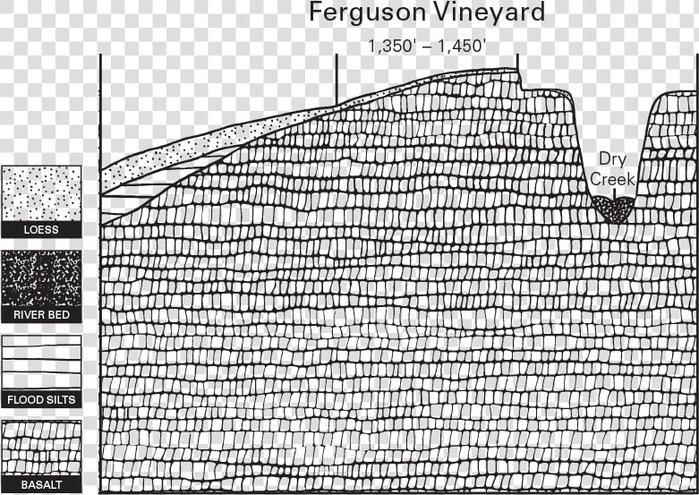 Estate Ferguson Vineyard Illustration   Line Art  HD Png DownloadTransparent PNG