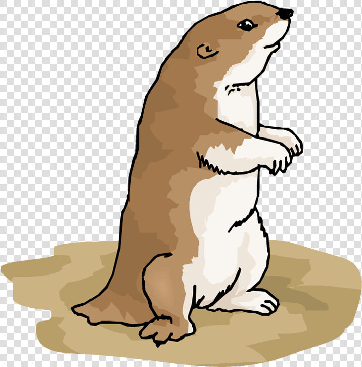 Prairie Dog Clip Art   Cartoon Prairie Dog Clipart  HD Png DownloadTransparent PNG