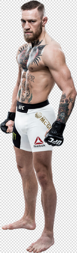 Conor The Notorious   Conor Mcgregor Full Body  HD Png DownloadTransparent PNG