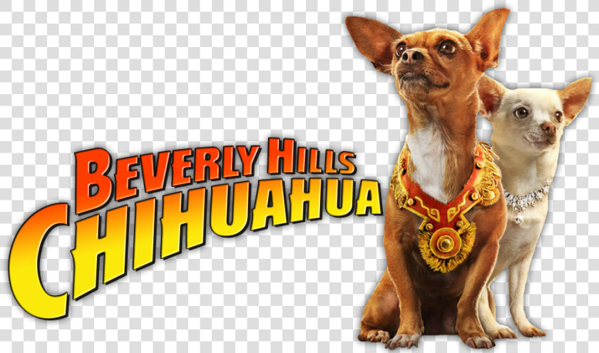 Beverly Hills Chihuahua Image Clipart   Png Download  Transparent PngTransparent PNG