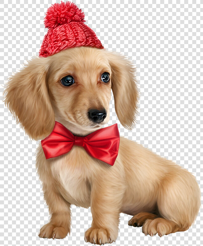 Puppy Pictures Puppy Images Dogs And Puppies Cute    Png Hd Cute Puppy  Transparent PngTransparent PNG