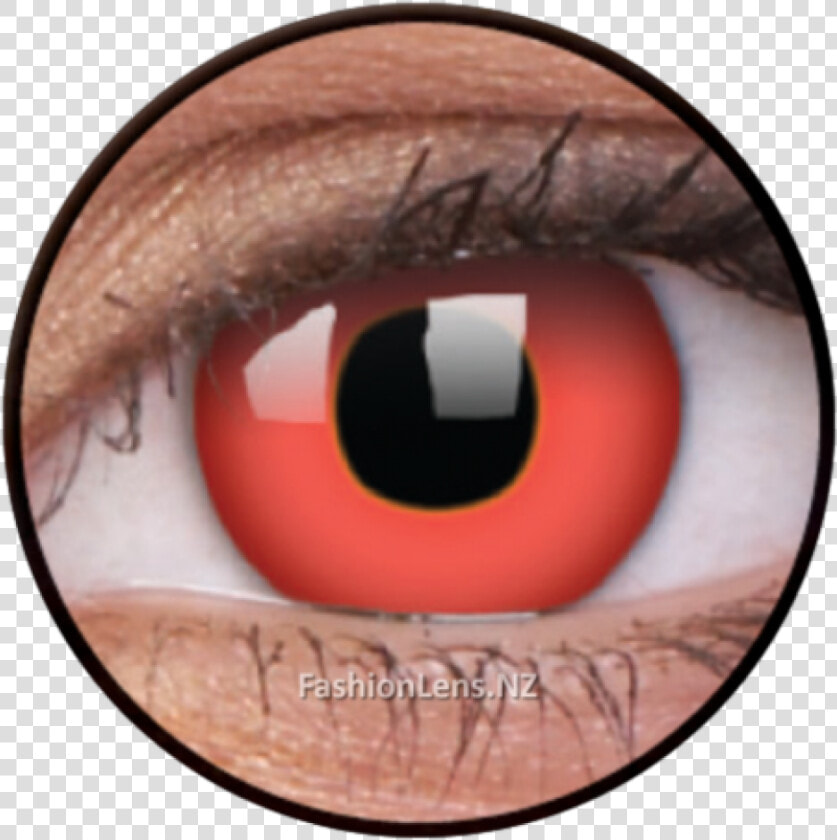 Contact Lenses   Png Download   Contact Lenses  Transparent PngTransparent PNG