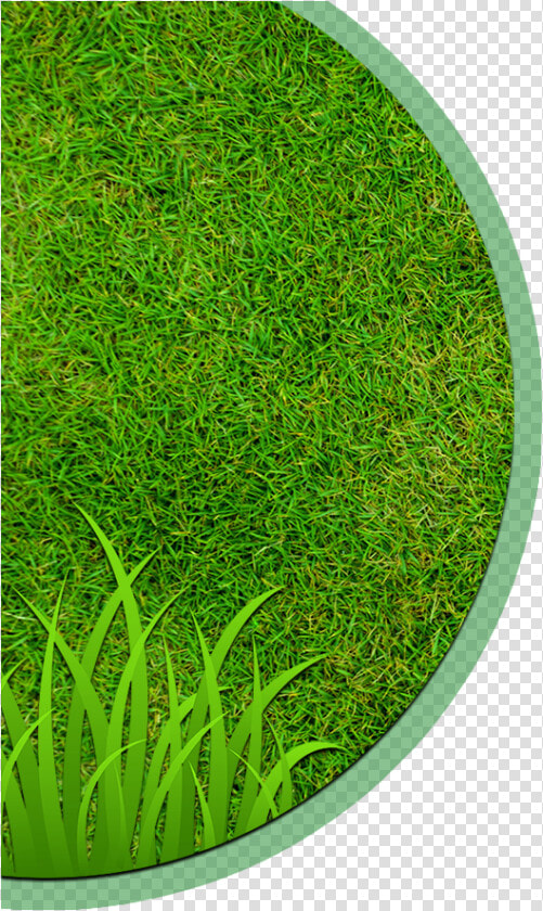 Landscaping Clipart Hedge Cutting   Circle  HD Png DownloadTransparent PNG