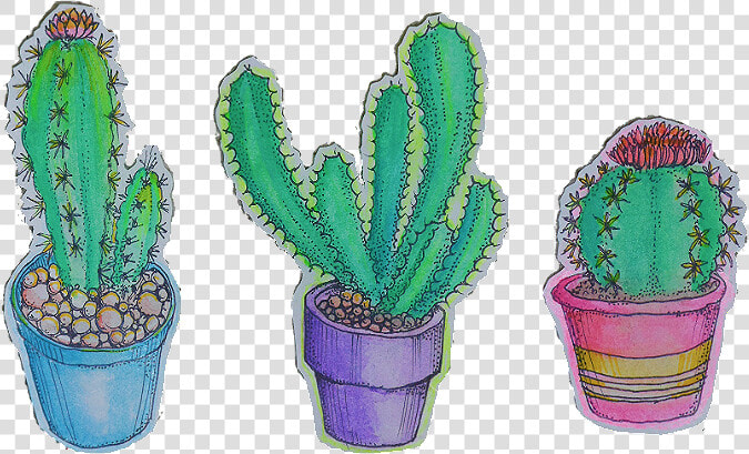 Cactus Transparent Background Laptop Tumblr   Transparent Tumblr Cactus Png  Png DownloadTransparent PNG