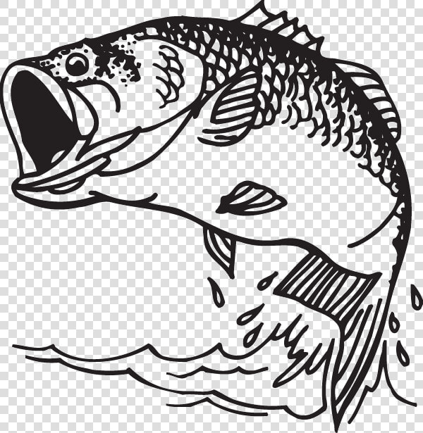 Largemouth Bass Decal Bass Fishing   Bass Fish Clipart  HD Png DownloadTransparent PNG