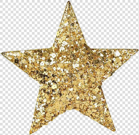  vsco  rad  groovy  trendy  retro  glitter  star  gold   Golden Shiny Star Png  Transparent PngTransparent PNG