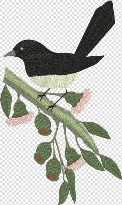 Machine Embroidery Designs   Png Download   Willy Wagtails Clip Art Transparent Background  Png DownloadTransparent PNG