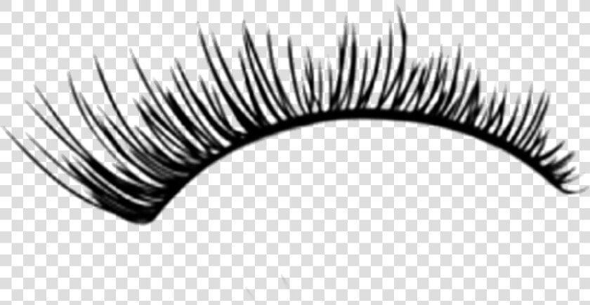  eyelash  kirpik  freetoedit  귀여운  picsart  cute  kawaii   Transparent Background Fake Eyelashes Lashes Png  Png DownloadTransparent PNG