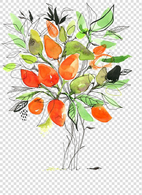 Mango Tree Png   Flower Mango Png  Transparent PngTransparent PNG