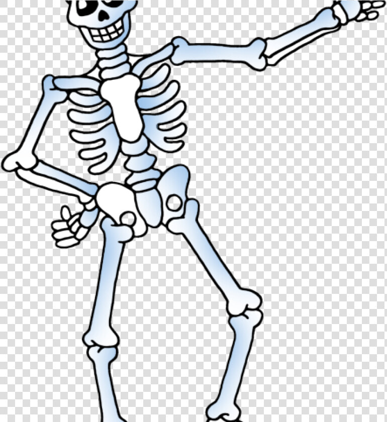 Skelton Clipart Free Skeleton Clipart Public Domain   Skeleton Clipart Transparent Background  HD Png DownloadTransparent PNG