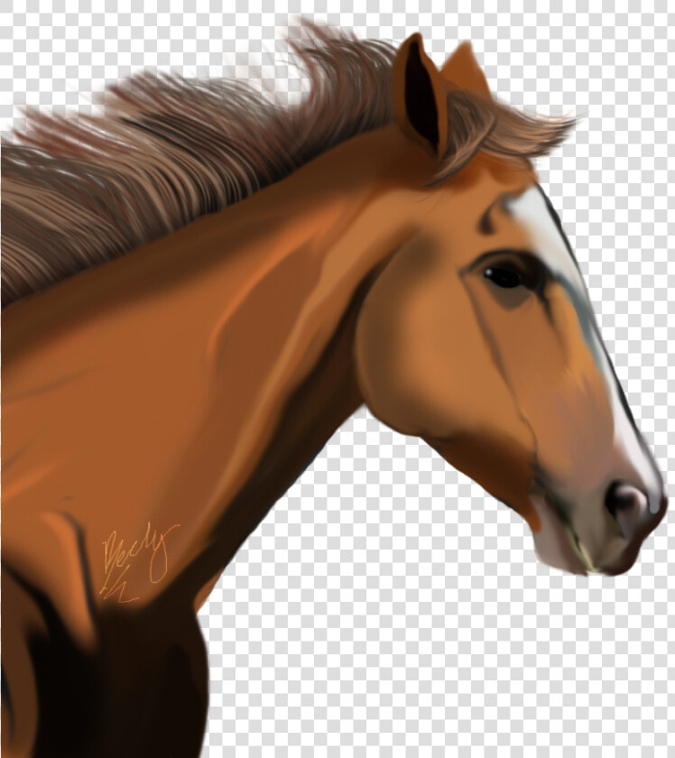 Download Horse Png Transparent Images Transparent Backgrounds   Race Horse Head Png  Png DownloadTransparent PNG