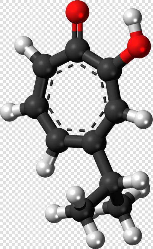 Gamma Thujaplicin 3d Balls   Glutamic Acid Ball And Stick Model  HD Png DownloadTransparent PNG