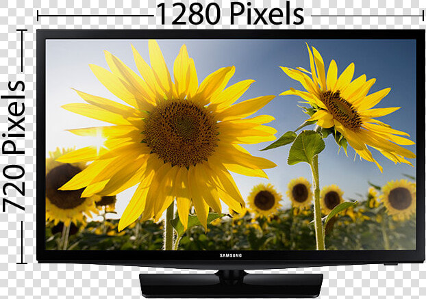 1080p Full High Definition Tv Measurements  HD Png DownloadTransparent PNG