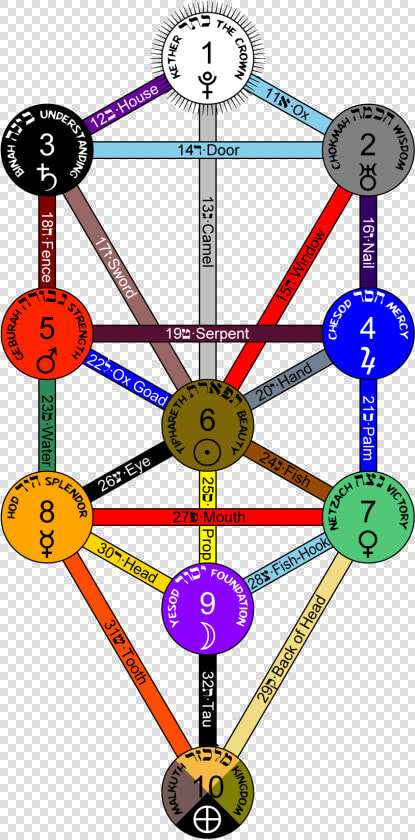 Tree Of Life Queens Colour   Tree Of Life Kabbalah Colors  HD Png DownloadTransparent PNG