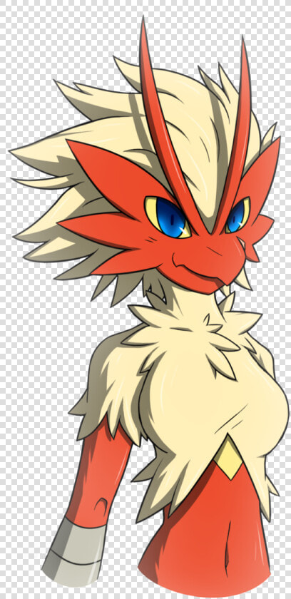 Blaziken Male And Female  HD Png DownloadTransparent PNG