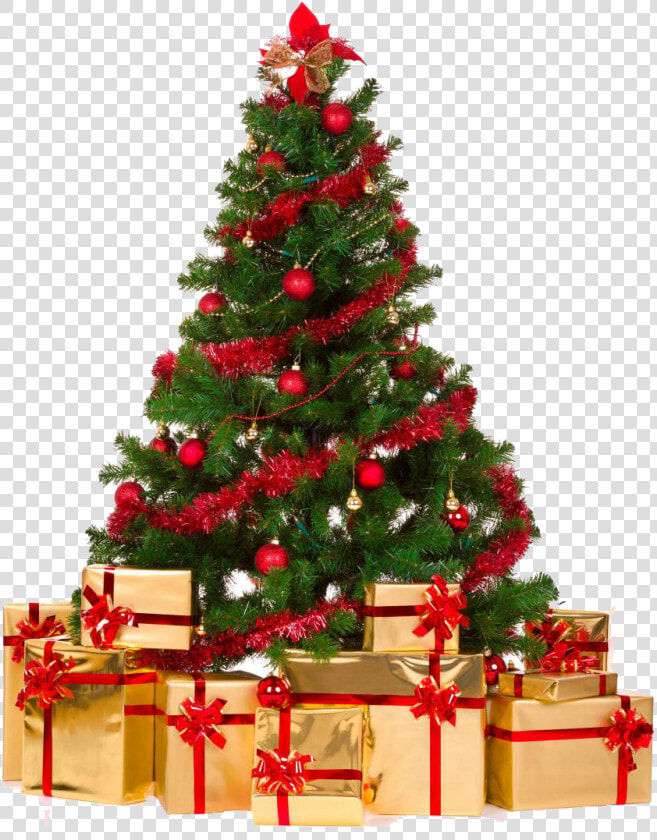 Arvore De Natal Png   Merry Christmas Tree Png  Transparent PngTransparent PNG