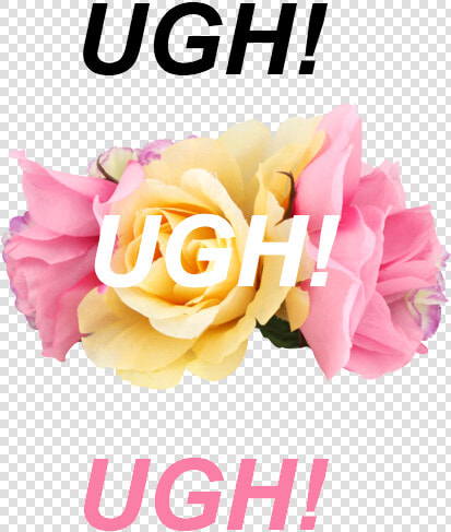 “ Ugh    The 1975 ”   Floribunda  HD Png DownloadTransparent PNG