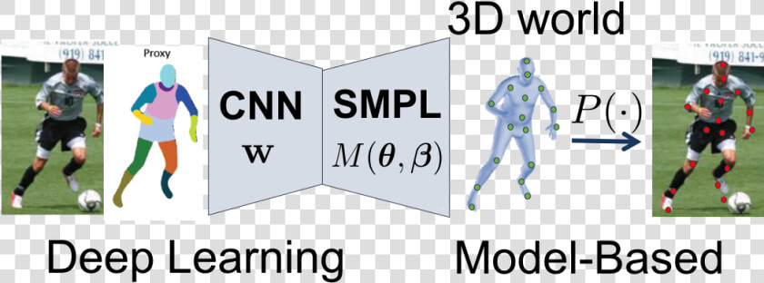 Neural Body Fitting   Body Shape Deep Learning  HD Png DownloadTransparent PNG