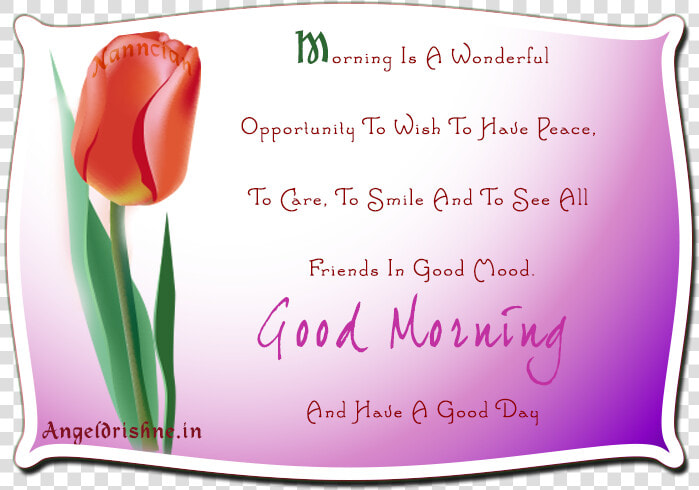 Good Morning And Have A Good Day   Take Care Have A Wonderful Day  HD Png DownloadTransparent PNG