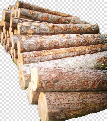  wood  firewood  remix   Baumstamm Rinde Png  Transparent PngTransparent PNG