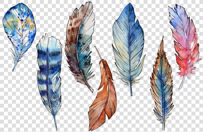  feather  feathers  boho  bohostyle  bohofeathers  watercolor  HD Png DownloadTransparent PNG