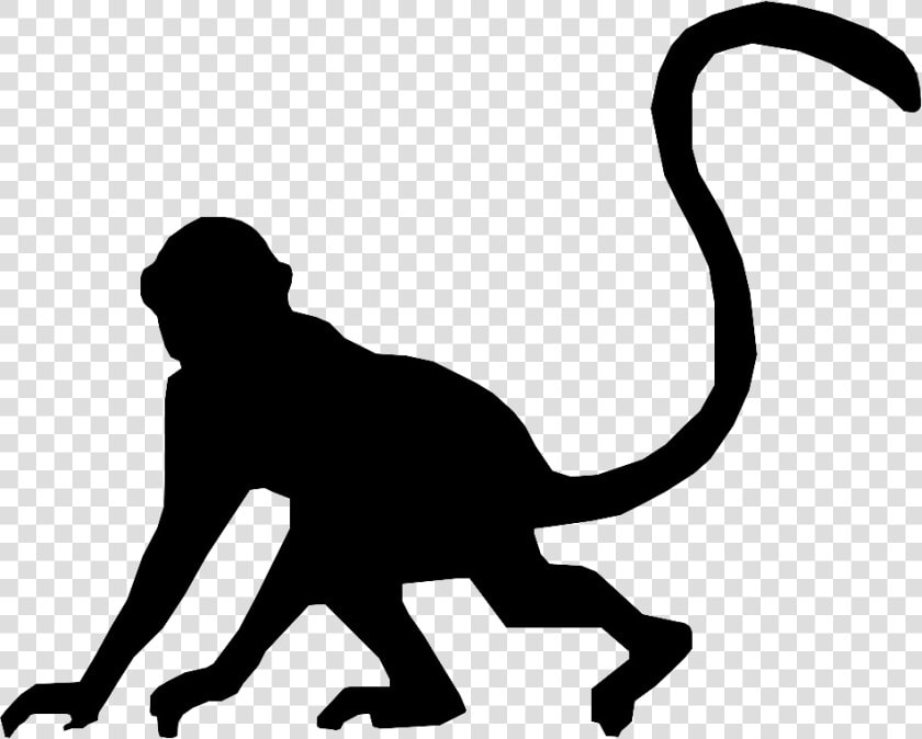 Cat Silhouette Monkey Clip Art   Monkey Silhouette Clipart  HD Png DownloadTransparent PNG