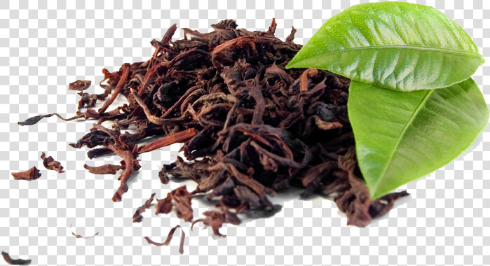 Black Tea Png Background   Tannins In Tea Leaves  Transparent PngTransparent PNG