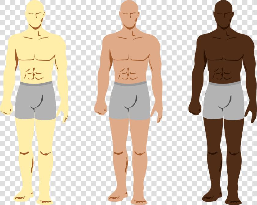 Mens Body Clip Art   Png Download   Areas To Spray Cologne  Transparent PngTransparent PNG