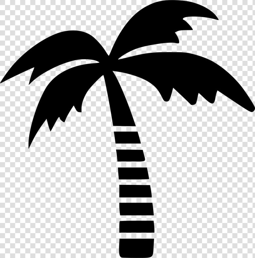 Palm Tree Png Outline   Palm Tree Logo Png  Transparent PngTransparent PNG