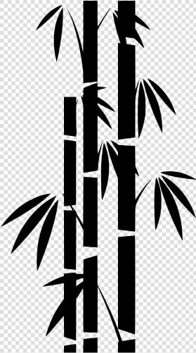 Drawing Bamboo Pencil   Bamboo Drawing  HD Png DownloadTransparent PNG