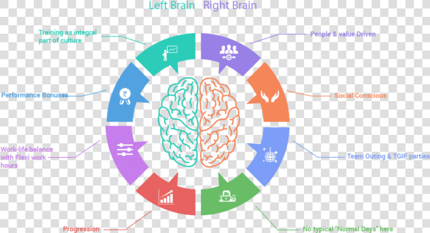 Left Hand Left Brain The Plot Thickens Dana Foundation   Right Brain Clipart Transparent  HD Png DownloadTransparent PNG