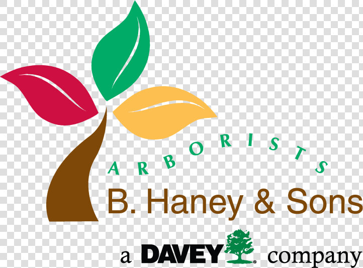 B Haney And Sons Arborists  HD Png DownloadTransparent PNG