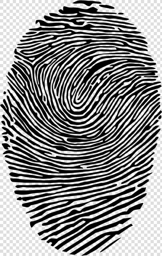 Full Fingerprints Clear Background  HD Png DownloadTransparent PNG