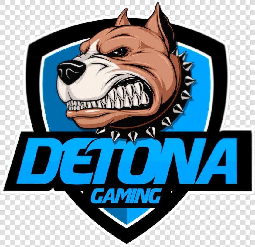 Detona Gaming  HD Png DownloadTransparent PNG