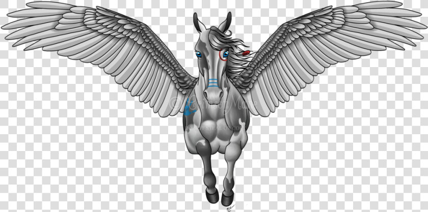 Pegasus Tattoos Design   Pegasus Design  HD Png DownloadTransparent PNG