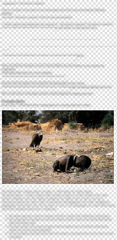 Assignment 1  The Decisive Moment turn In  An Inkjet   Kevin Carter  HD Png DownloadTransparent PNG