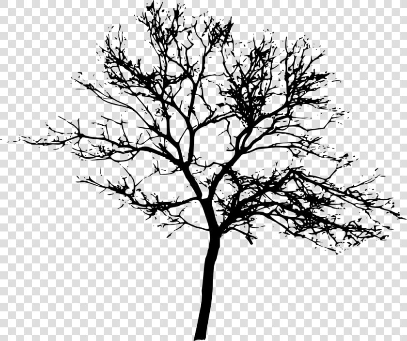 Tree Display Resolution Clip Art   Silhouette Trees Transparent Background  HD Png DownloadTransparent PNG