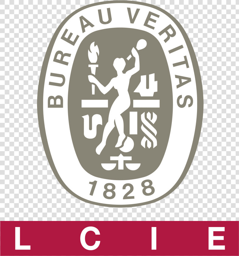 Iso 9001 Bureau Veritas  HD Png DownloadTransparent PNG