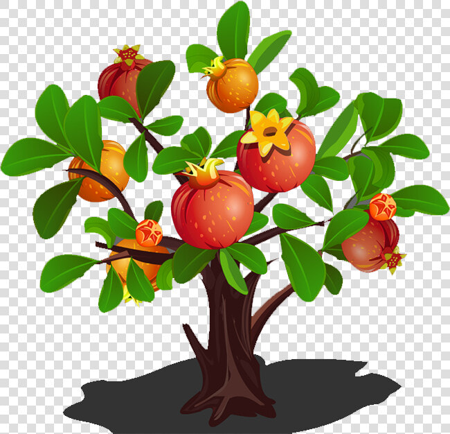 Clip Art Pomegranate Tree Clipart   Fruit Tree Cartoon Png  Transparent PngTransparent PNG