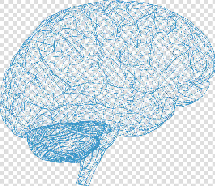 3d Brain Scan Png  Transparent PngTransparent PNG