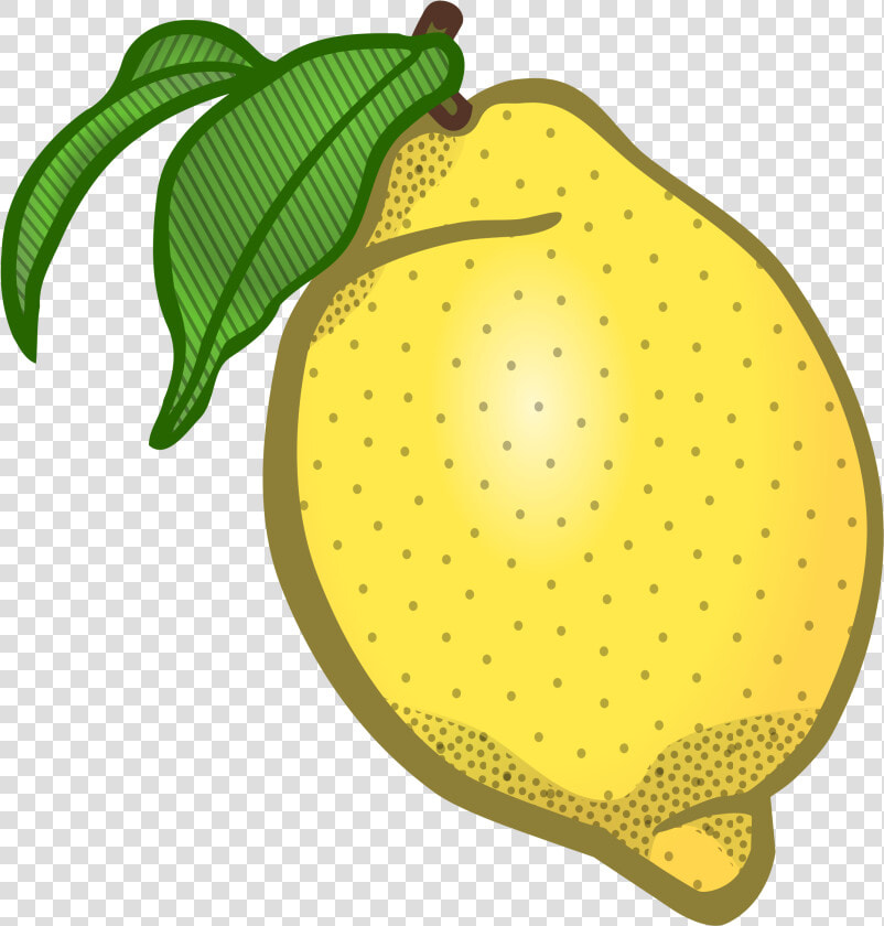 Clipart Lemon Clipart Lemon Coloured Die Besten   Clipart Lemon Png  Transparent PngTransparent PNG