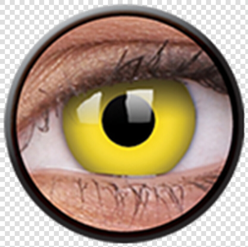 Contact Lenses  HD Png DownloadTransparent PNG