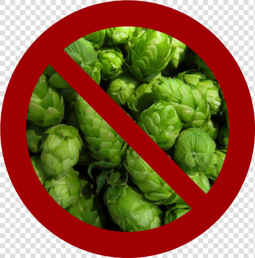 No Hops  HD Png DownloadTransparent PNG