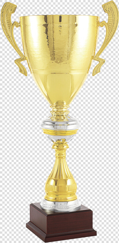 Transparent Trophy Cup Png   Trophy  Png DownloadTransparent PNG