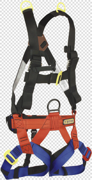 Rope Rescue Victim Harness  HD Png DownloadTransparent PNG