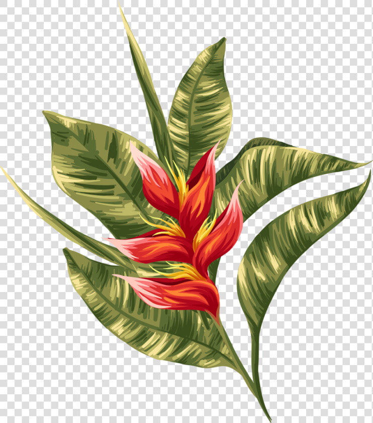 Transparent Greenery Clipart   Tropical Flowers  HD Png DownloadTransparent PNG