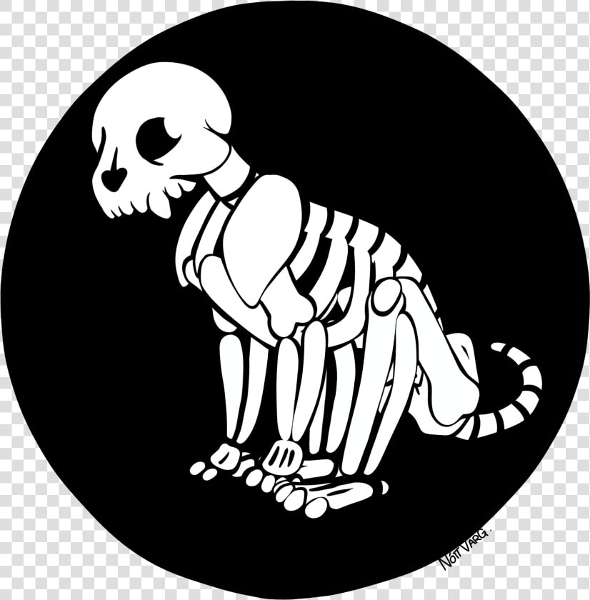 Dogs Spooky Scary Skeletons  HD Png DownloadTransparent PNG