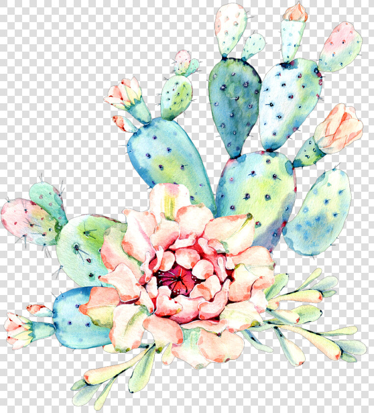  cactus  flower  watercolor  art  desert   Cactus  HD Png DownloadTransparent PNG