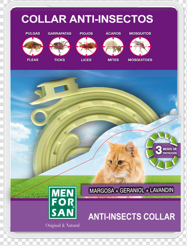 Insect Repellent Collar For Cats  HD Png DownloadTransparent PNG