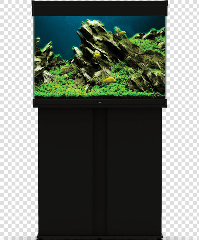 Ciano Aquarium  HD Png DownloadTransparent PNG